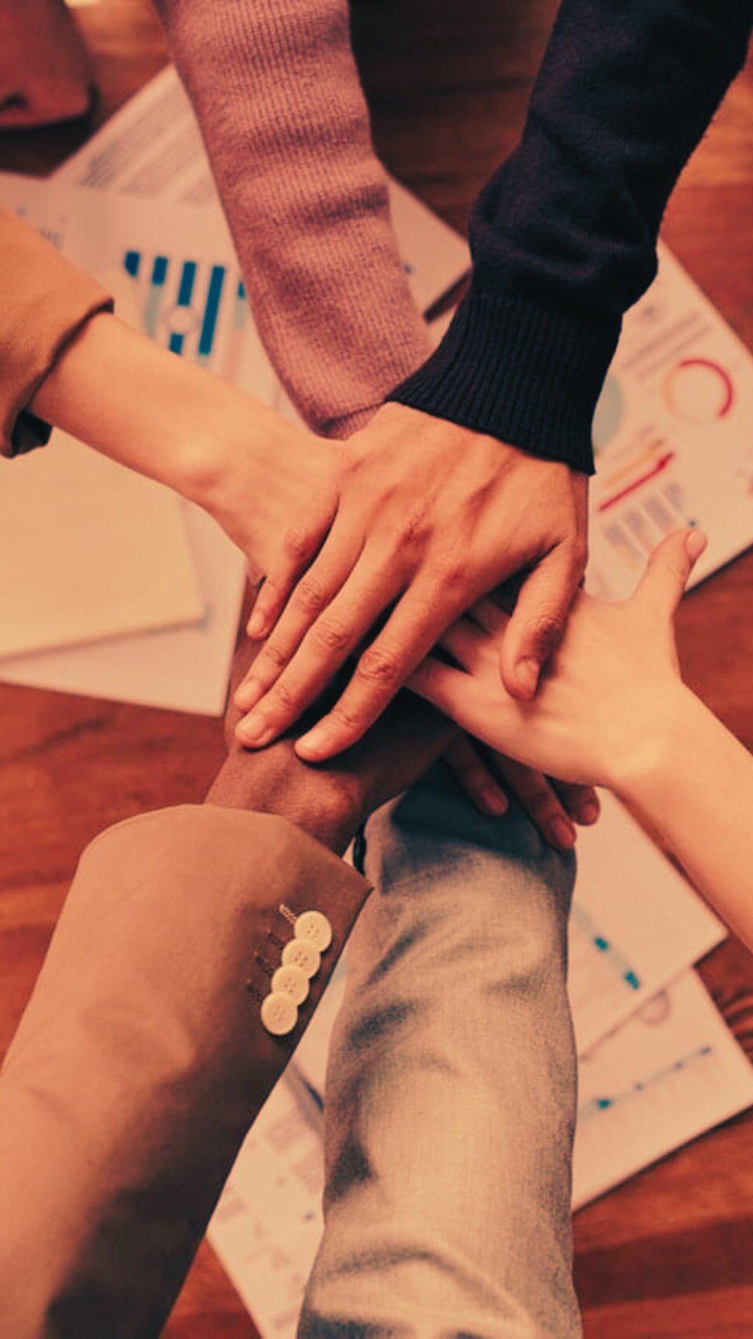 Rsassi Comércio Atacadista Importadora